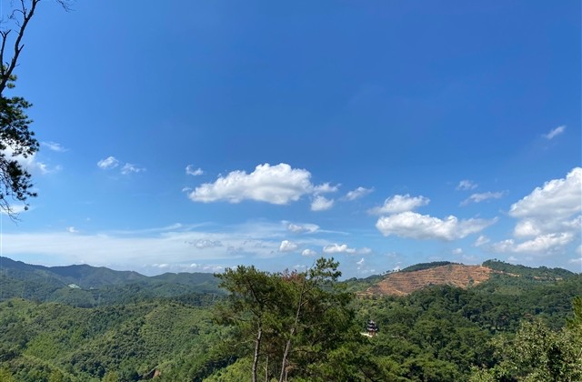 2023最新版抖音昵称(精选1149个)