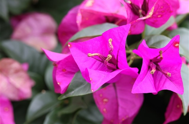 2023年软萌女生网名(837个) 2023年软萌女生网名(837个)