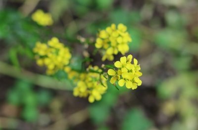 ​简单大气微信名(精选691个)