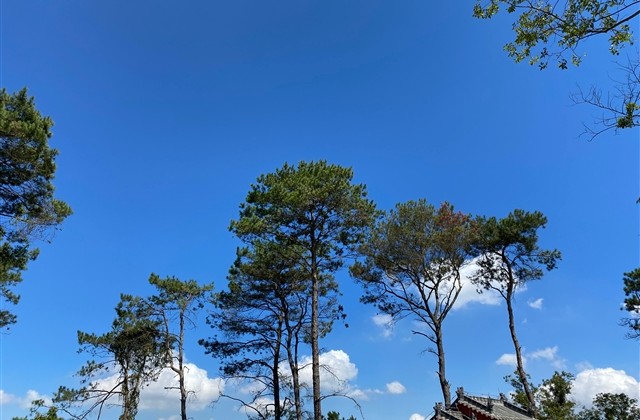 简单有意境的四字网名