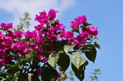 ​超拽4字网名大全(共374个)