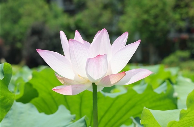 短一点的qq网名大全(优选363个) 短一点的qq网名大全(优选363个)