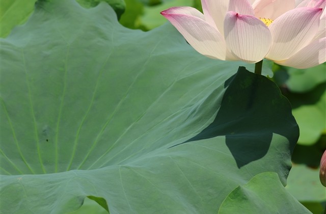 秀恩爱专属的情侣爱情网名(共218个) 秀恩爱专属的情侣爱情网名(共218个)