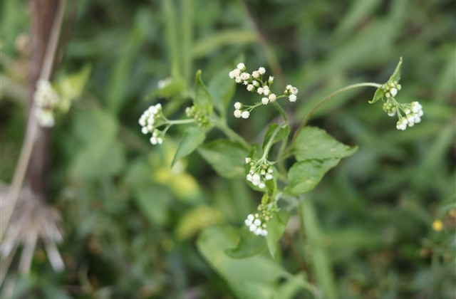 起个暴富的网名男霸气 起个暴富的网名男霸气