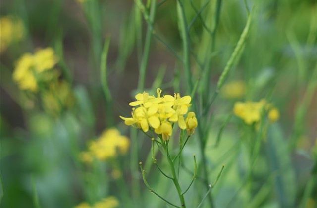 简单有趣的网名大全:罗密欧与猪过夜i 简单有趣的网名大全:罗密欧与猪过夜i