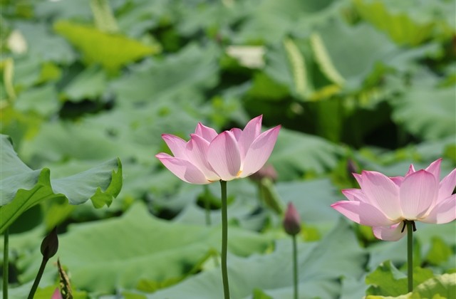 超拽的7个字男生网名:裤裆里全是杀气 超拽的7个字男生网名:裤裆里全是杀气