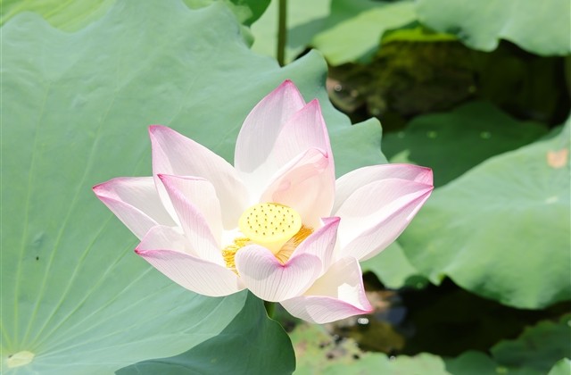 好听不重复的游戏名字(精选646个) 好听不重复的游戏名字(精选646个)