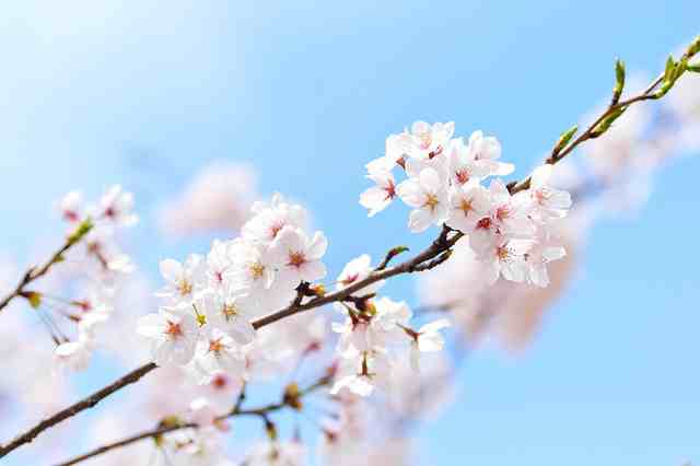 中学生好词好句