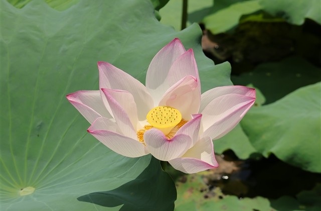 可复制的万能空白昵称 可复制的万能空白昵称快手 可复制的万能空白昵称 可复制的万能空白昵称快手