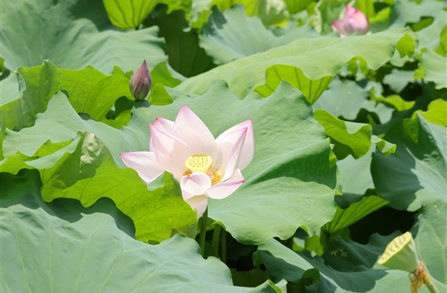 抖音洋气女名(精选167个)