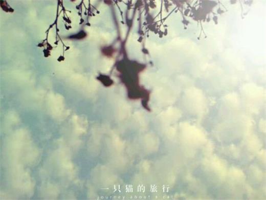 歇后语大全及答案