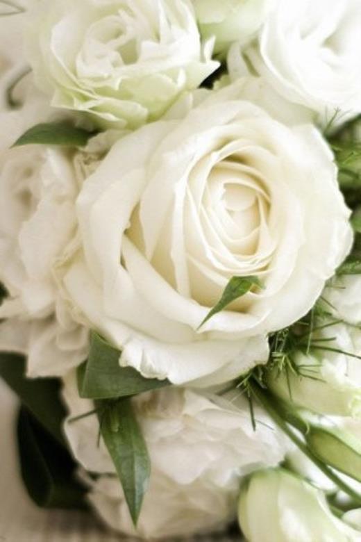 2023催账经典语句