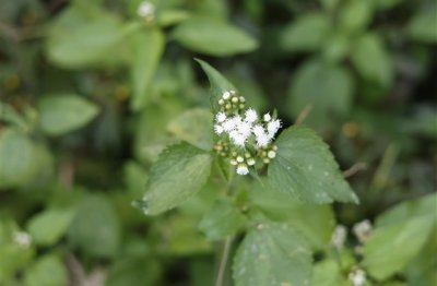 ​关于伤感的英文网名(精选140个)