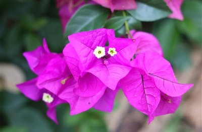 ​剑雨江湖情侣名字大全(优选82个)