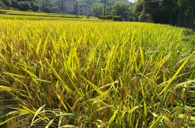 ​个性英文网名男生高端大气(146个)