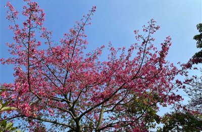 ​幽默的微信名字男