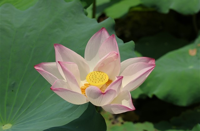 dnf两个字公会名字(优选167个) dnf两个字公会名字(优选167个)