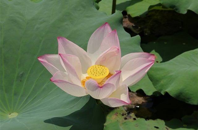 经典的女生用的网名两个字(共165个) 经典的女生用的网名两个字(共165个)