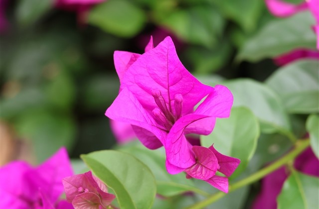 小清新阳光网名 小清新阳光网名