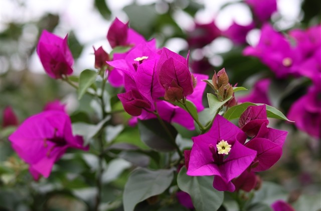 原创好听的网名(精选73个)