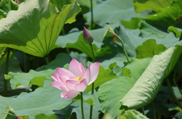 单身网名女生伤感经典(70个)