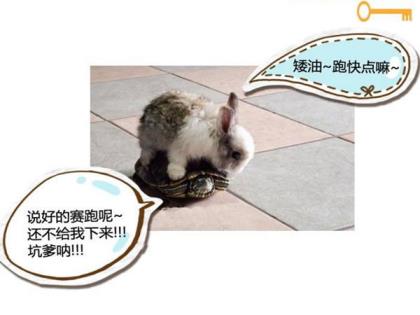 十句超甜的晚安语