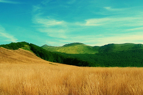 婆婆生日祝福的短信80句