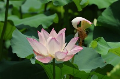 ​最热门网名四个字