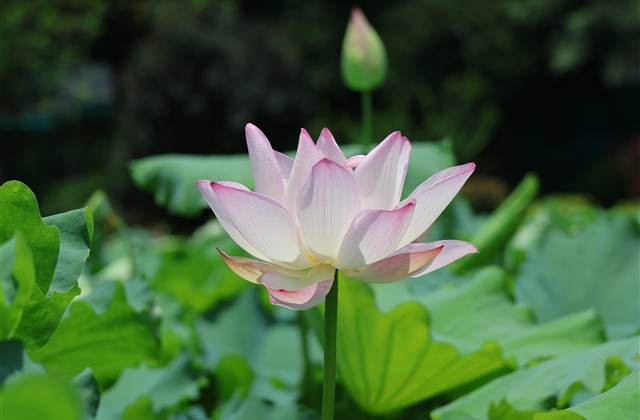 男生单身qq网名(61个) 男生单身qq网名(61个)