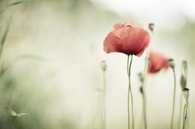 ​2023年过年祝福短信72句