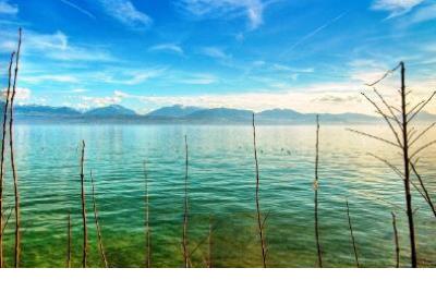 每日心语早安心语2023