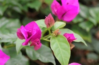 ​最皮的情侣网名 很皮的游戏cp名字