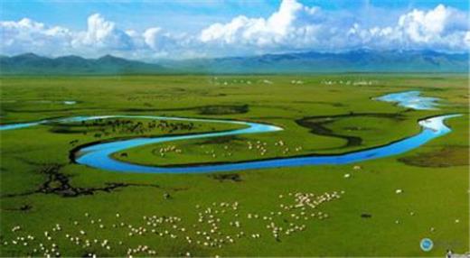 沙雕网友朋友圈