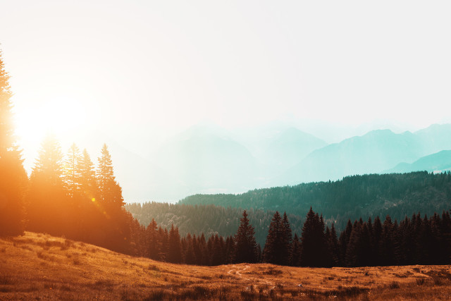 对自己的情感的句子 表达内心情感的一段话