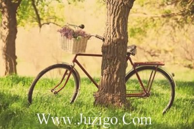 ​2023端午节祝福语简短朋友圈(端午节祝福语简短可爱)