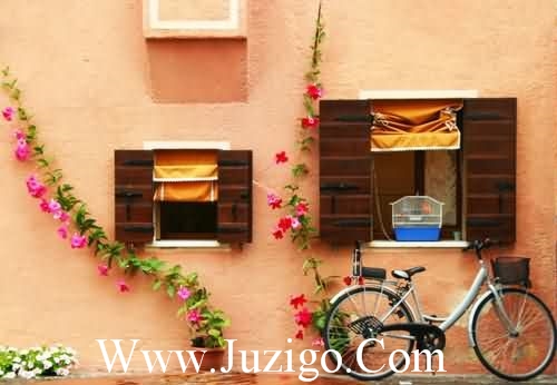 生活充满艰辛,只要再多坚持一下,惊喜或许就在下一秒