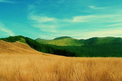 ​班级十六字口号81句