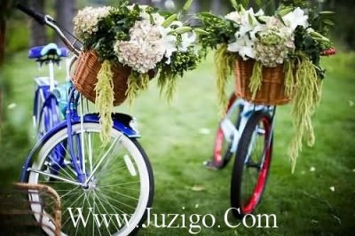 ​父母给老师教师节祝福文案教师节祝福文案(精选70句)