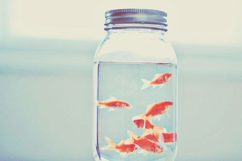 有关快乐的英文谚语