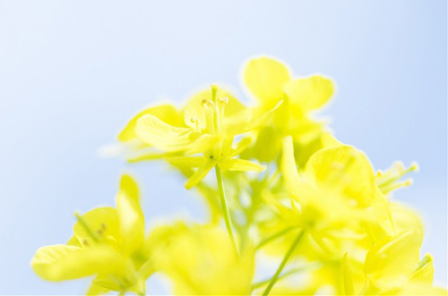 朋友新婚祝福语2023年51句