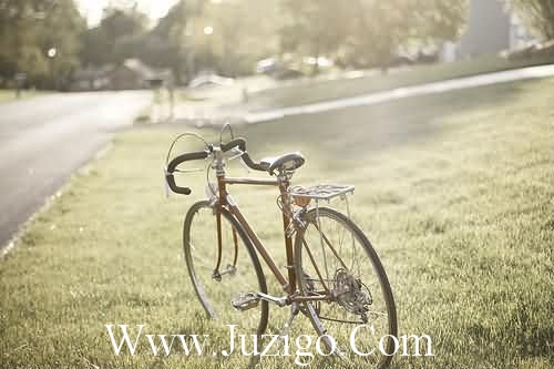 结婚搞笑祝福语 朋友结婚搞笑祝福语