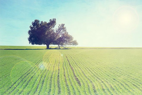 领导新岗位祝福语58句