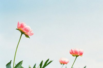 ​关于保护水资源的谚语80句