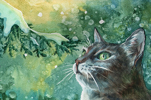 宝宝相册祝福语大全80句