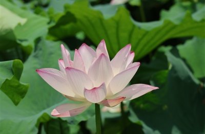 ​微信搞笑网名大全(68个)