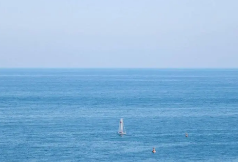 1686319588100573.png image.png