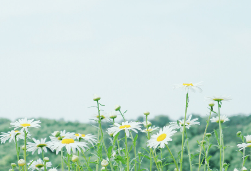 1686321737728183.png image.png