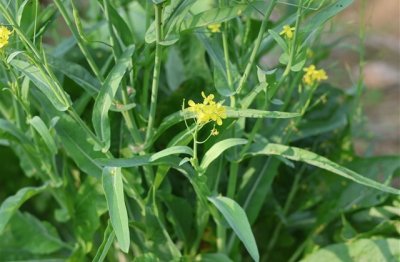 ​悲伤痛心QQ网名(精选312个)