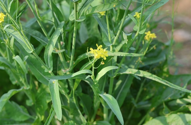 悲伤痛心QQ网名(精选312个) 悲伤痛心QQ网名(精选312个)