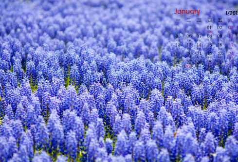 1685466047109455.png image.png